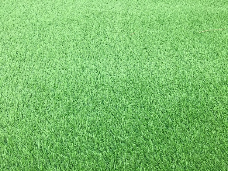 Những ưu điểm khi sử dụng thảm cỏ nhân tạo