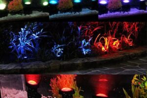 Phụ Kiện Bể Cá Giá Rẻ – Lựa Chọn Hoàn Hảo Cho Bể Cá Của Bạn