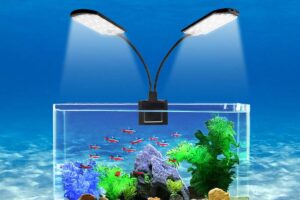 Đèn Bể Cá Cảnh Mini – Tạo Không Gian Sống Động Cho Bể Cá