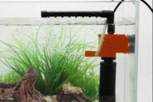 Máy Bơm Nước Bể Cá Mini – Lựa Chọn Hoàn Hảo Cho Hồ Cá Cảnh