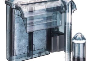 Các phụ kiện bể cá mini cho hồ cá của bạn đẹp, khỏe mạnh và sinh động hơn