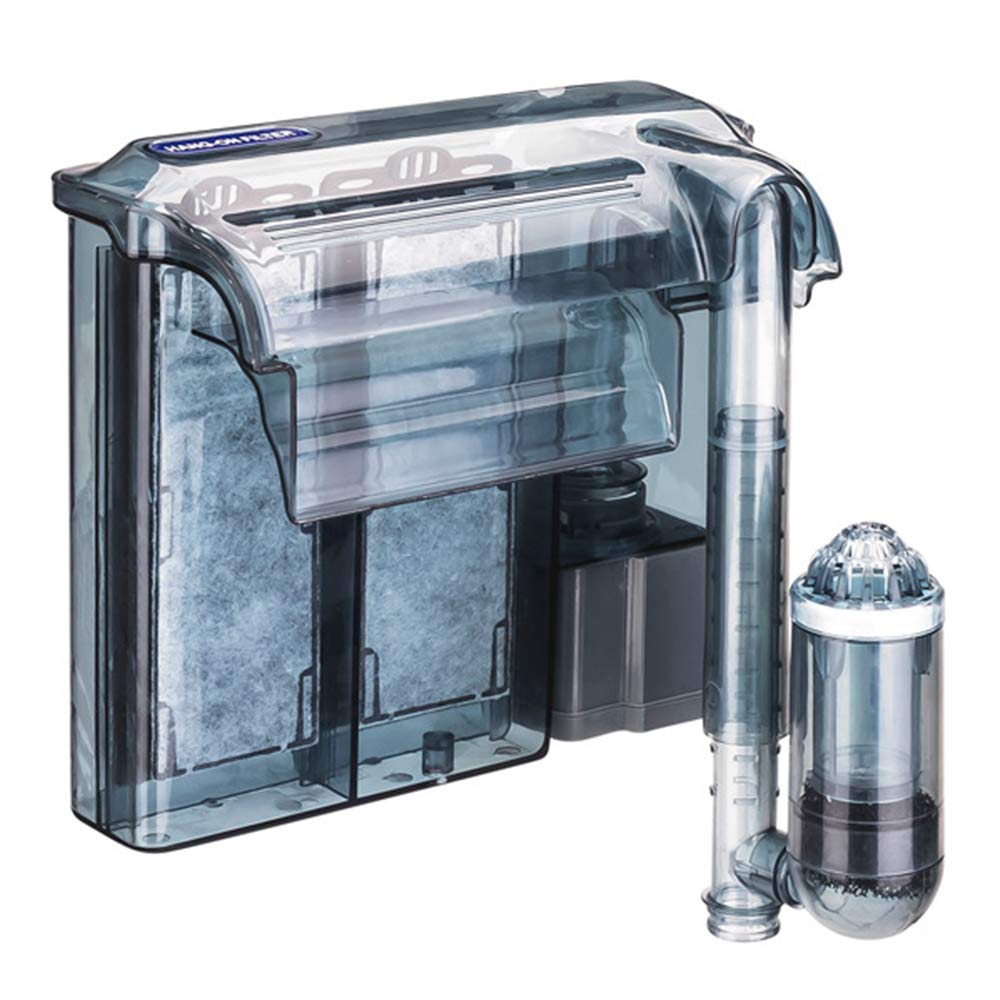 Các phụ kiện bể cá mini cho hồ cá của bạn đẹp, khỏe mạnh và sinh động hơn