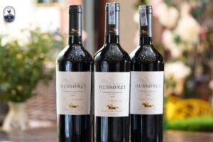 Rượu Vang Chile: Hương Vị Đậm Đà, Giá Tốt & Những Dòng Vang Chile Nên Thử