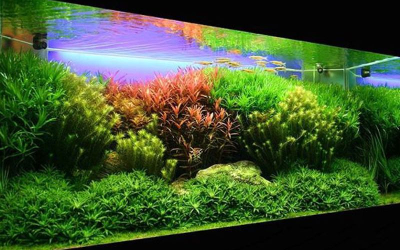 Sai lầm phổ biến cần tránh