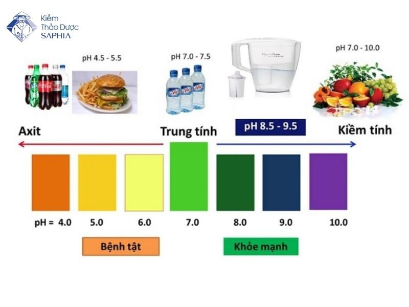 Chế độ ăn giàu kiềm là gì?