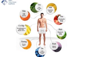 Chế độ ăn giàu kiềm là gì? Hướng dẫn cách kiềm hóa cơ thể hiệu quả