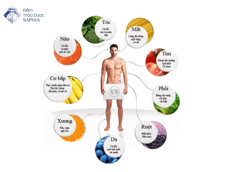 Chế độ ăn giàu kiềm là gì? Hướng dẫn cách kiềm hóa cơ thể hiệu quả