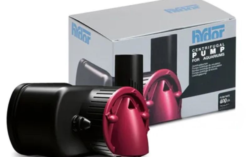 Máy bơm nước bể cá bị yếu? 3 bước xử lý nhanh tại nhà không cần thợ