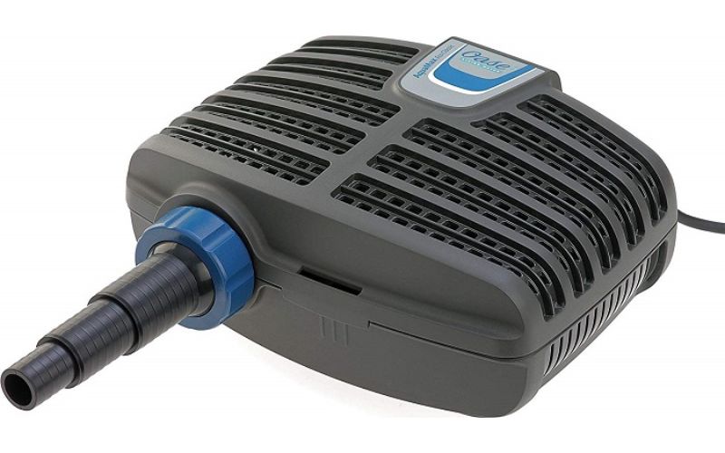 Cá cảnh Tài Lộc – Địa chỉ cung cấp thiết bị bể cá uy tín